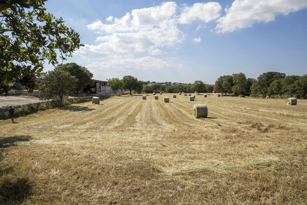 Masseria Cappella Μαρτίνα Φράνκα Εξωτερικό φωτογραφία
